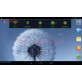 Tablet FunTab PF738 3G - 8GB
